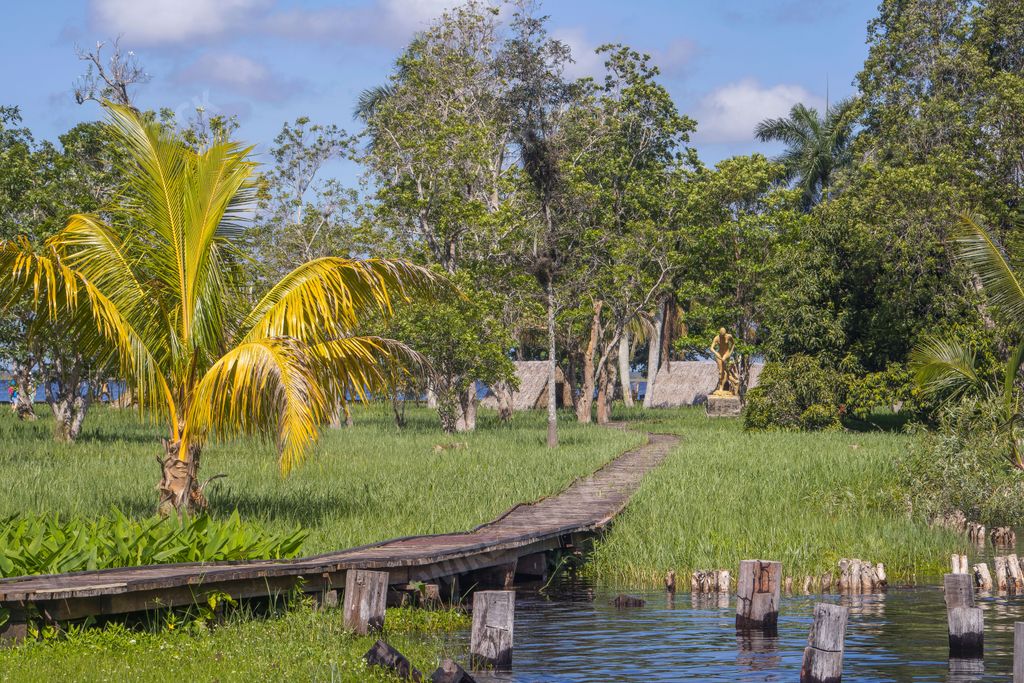 A wooden bridge over the Zapata swamp surrounded by lush tropical nature in Cuba