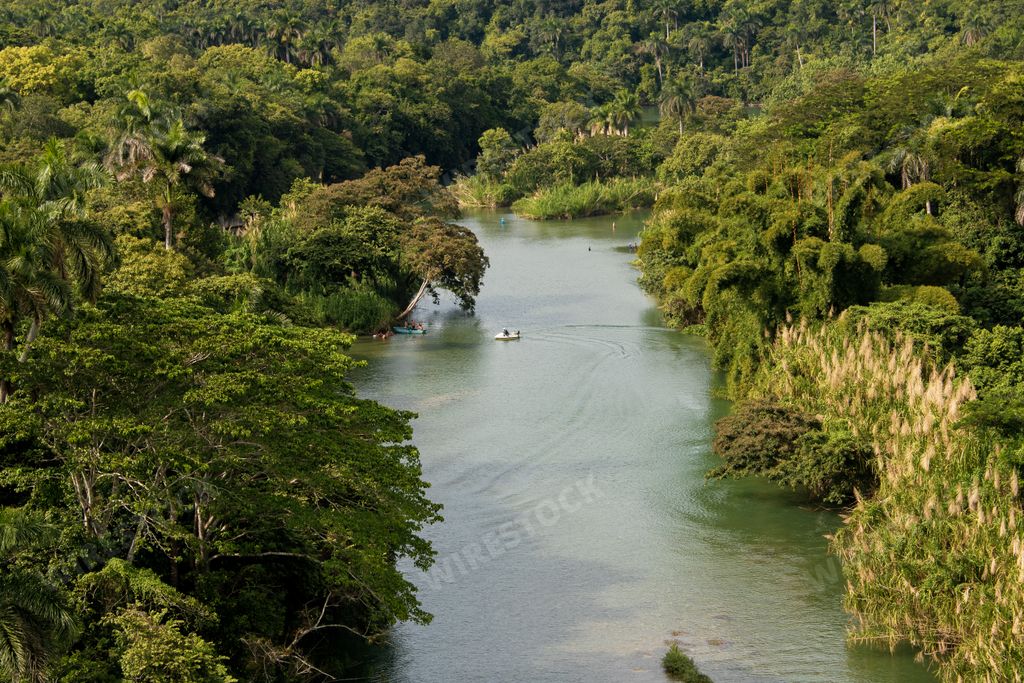 A beautiful river passing through lush green trees in La Arboleda protected area, Matanzas, Cuba