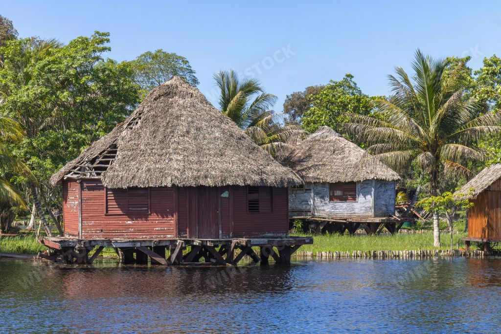 Typical houses on the Zapata Swamp shore surrounded by lush tropical nature in Cuba