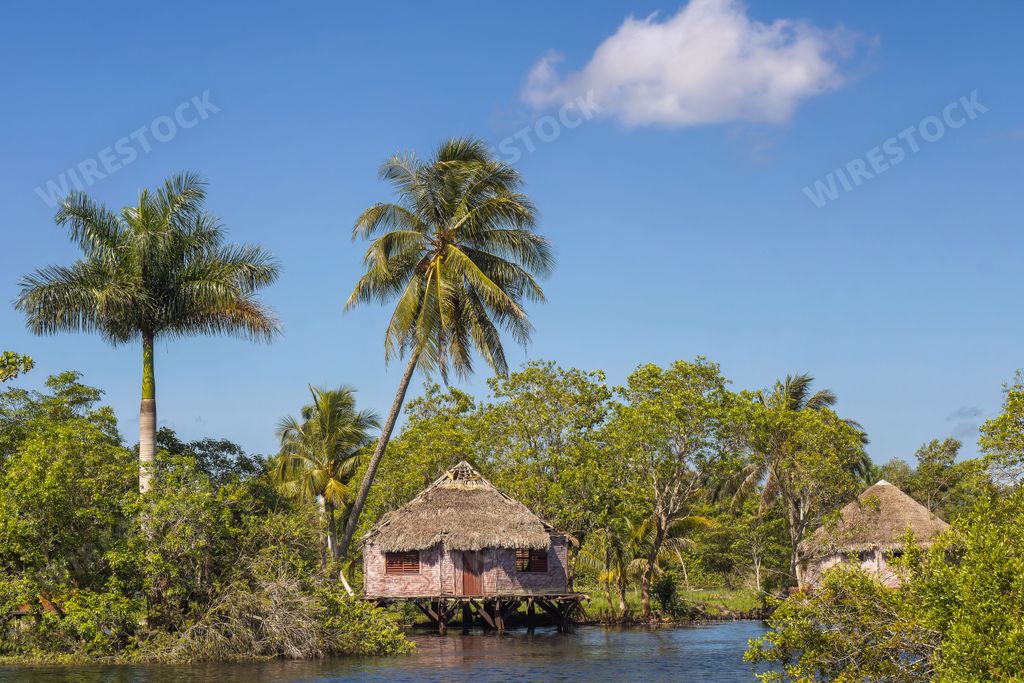 Typical hut and tropical nature on the Zapata Swamp shore in Cuba
