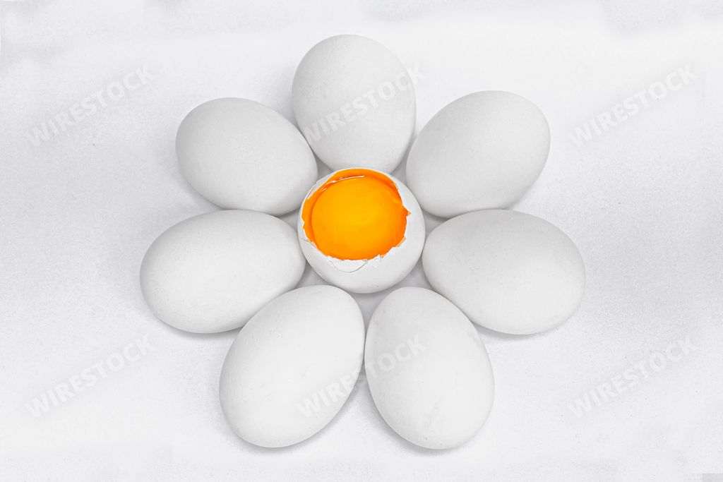 A top view shot of eggs placed around one cracked egg showing the yellow yolk inside to mimic a blossoming flower