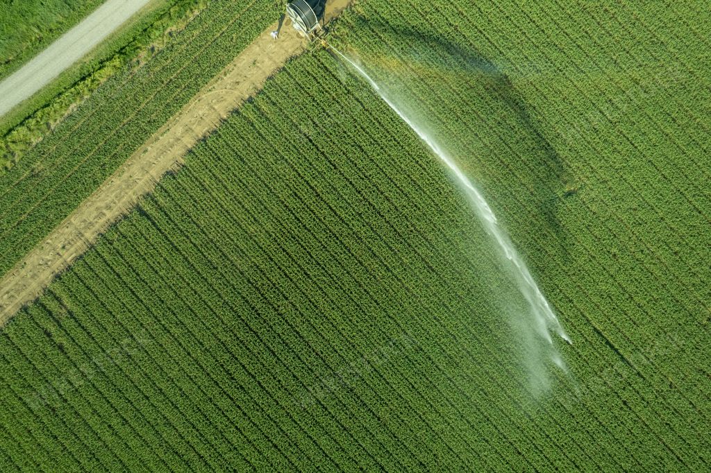 Aerial shot of a rural farmer using a tractor equipped with an irrigation system to spray water onto an emerald green field of crops