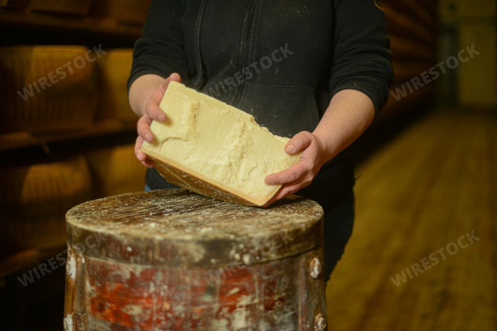 A cheese master cutting a parmesan cheese wheel at the dairy