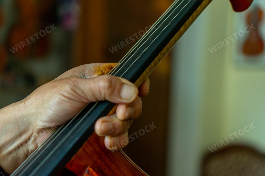 Cremona,Italy Master Luthier Carlos Roberts at work with a cello