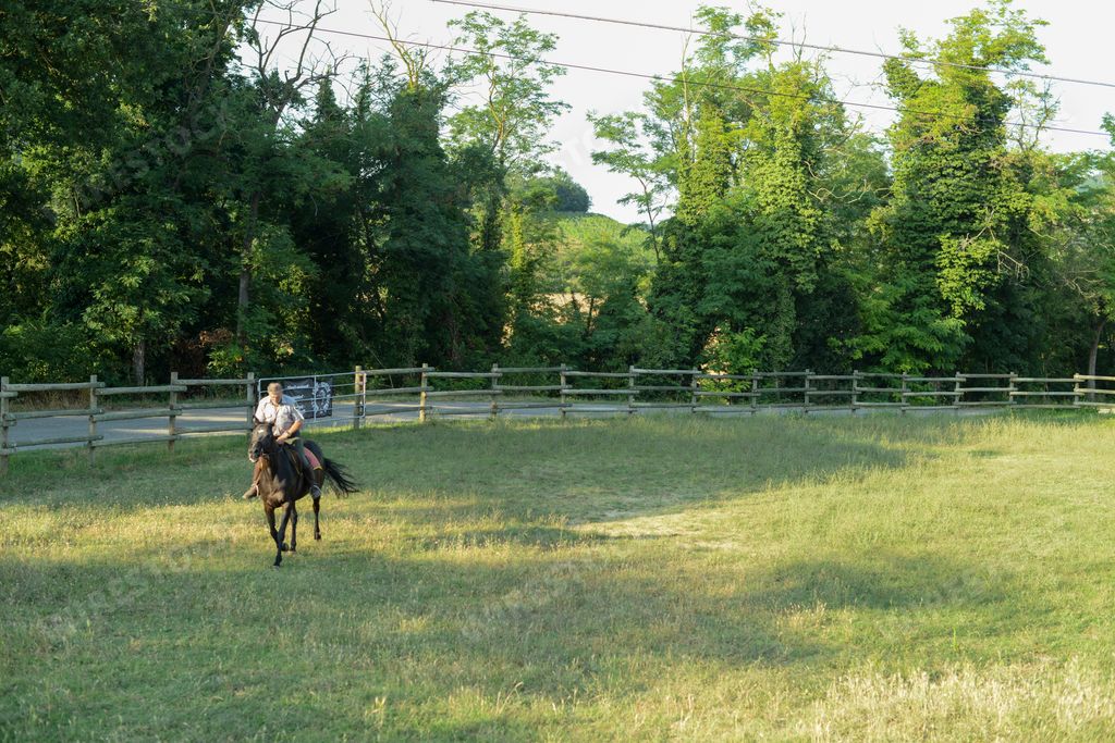 A senior Caucasian man riding a horse through the field on a ranch