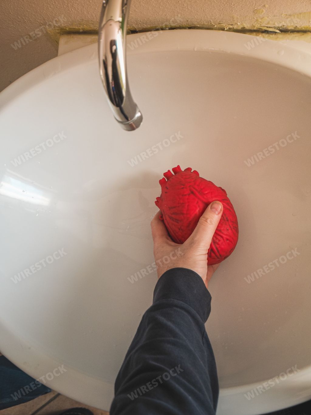 A vertical shot of a hand holding an object looking like a human heart in the sink