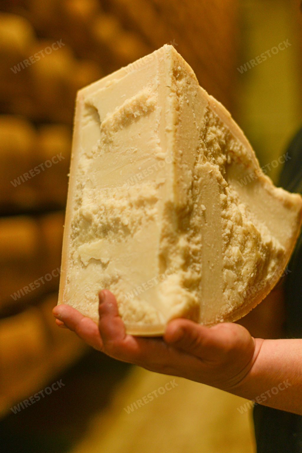 A cheese master cutting a parmesan cheese wheel at the dairy