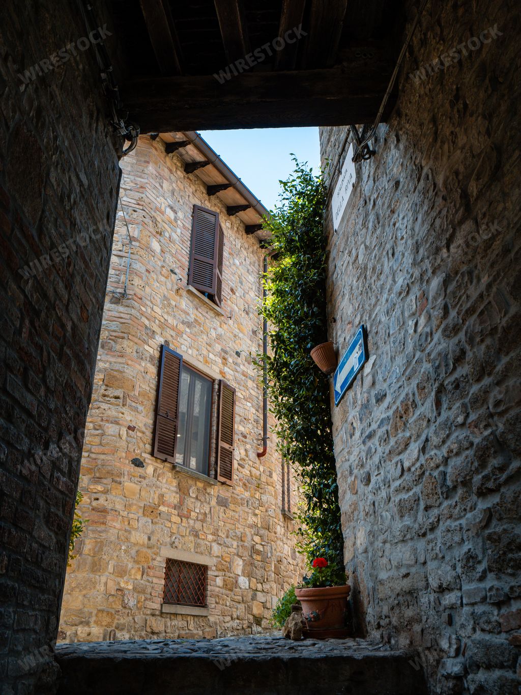 A vertical shot of an alleyway with old brick buildings decorated by flowers and ivy plants