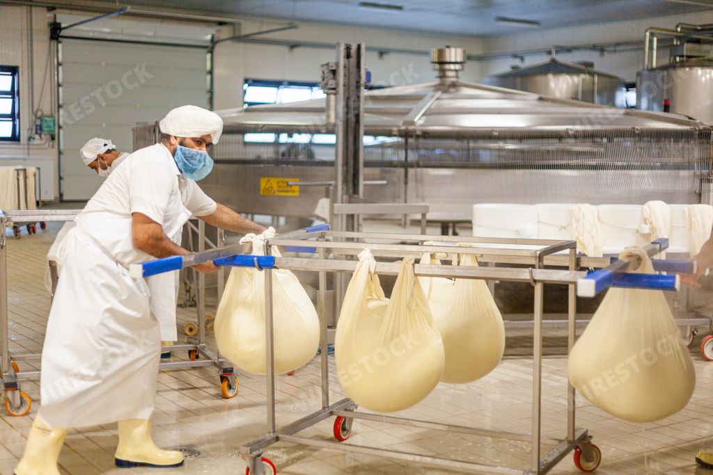 A closeup shot of a cheese making process in manufacturing dairy factory