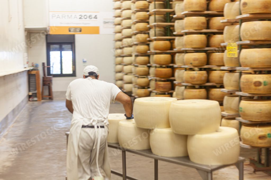 A closeup shot of Parmesan cheese wheels storage in a dairy farm production facility