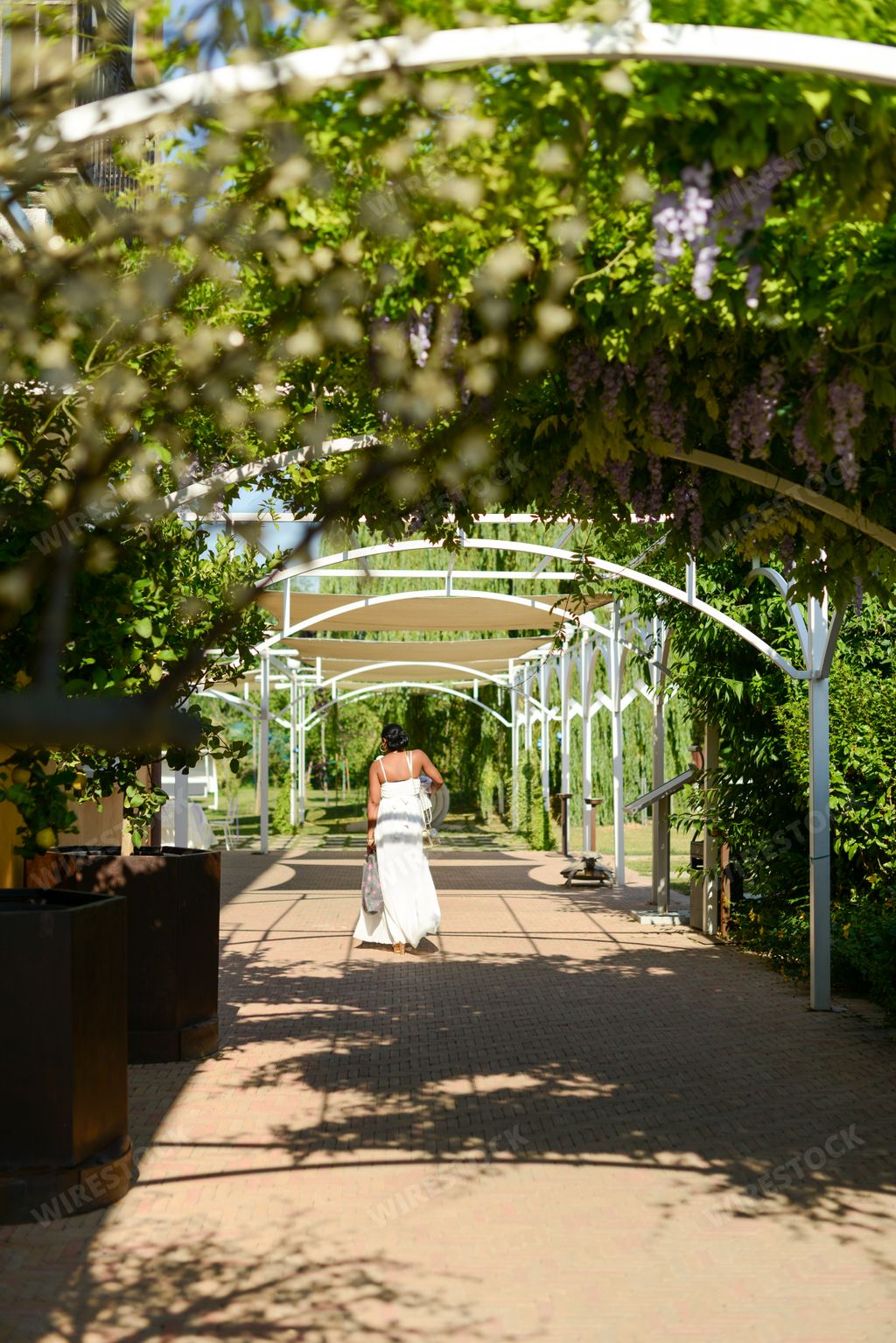 A vertical back view of a female walking through the alley at a wedding venue