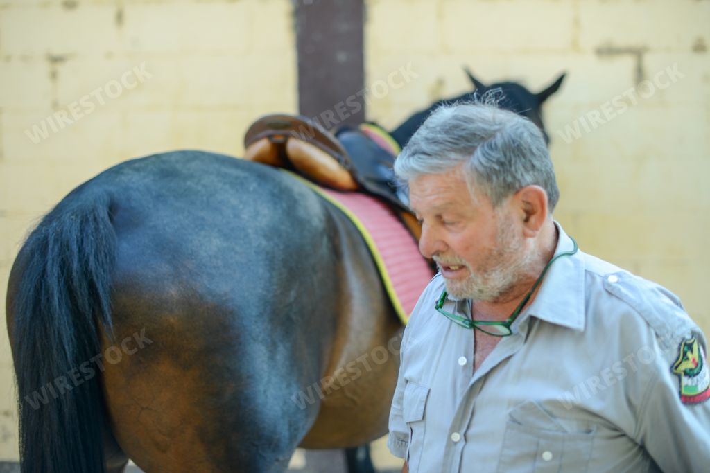 A caucasian cowboy with a beautiful horse