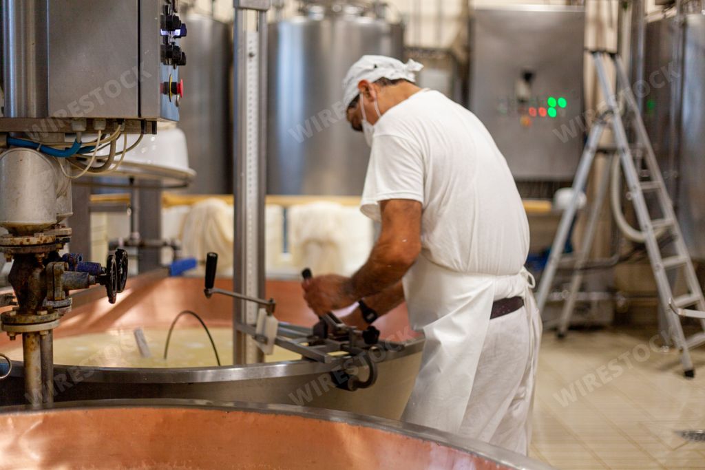 The cooking of organic pastured milk to prepare Parmesan Parmiggiano Reggiano cheese