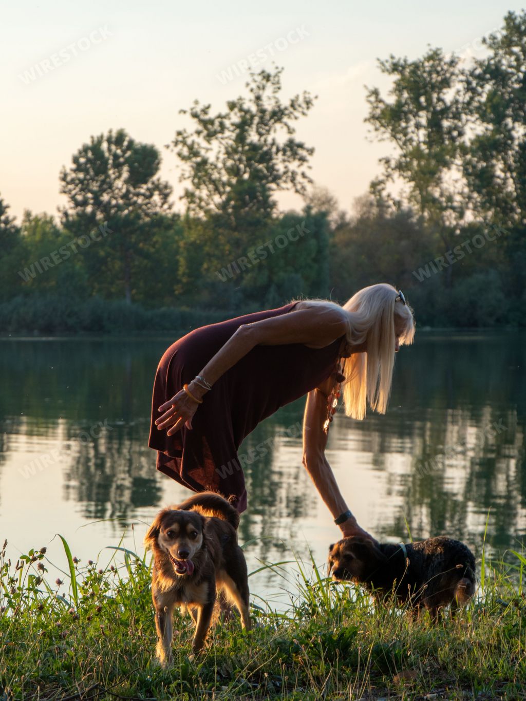 A blonde beautiful woman in a dress enjoying the view near a river  and petting her dog at sunset