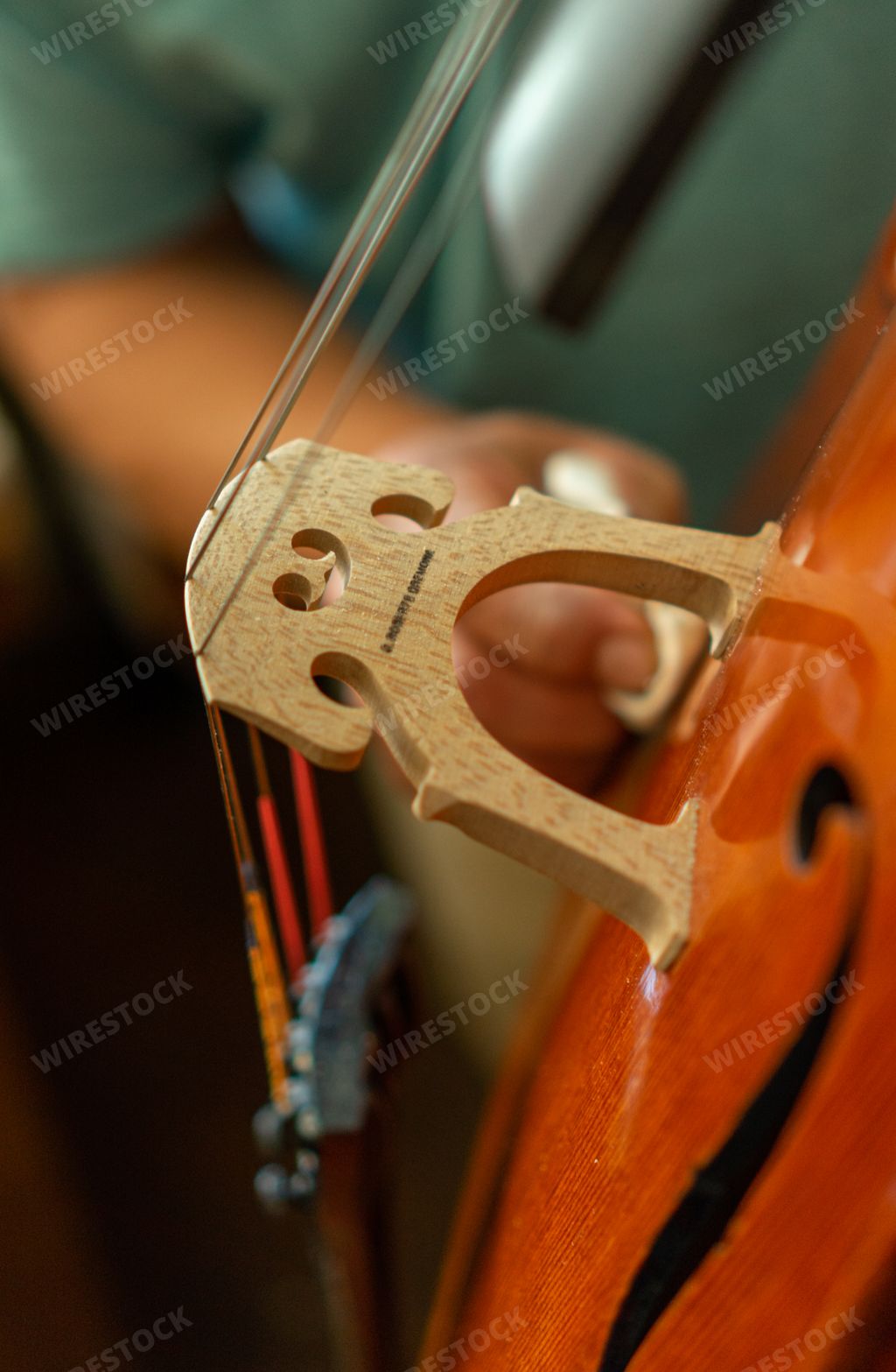 Cremona,Italy Master Luthier Carlos Roberts at work with a cello