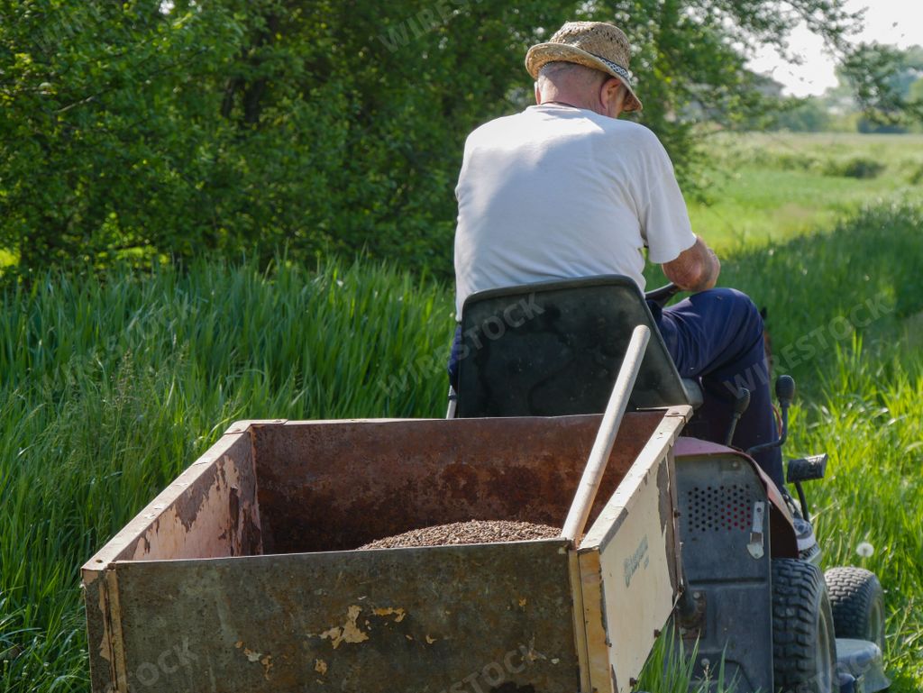 senior italian farmer transporting seeds in his small tractor in the fields