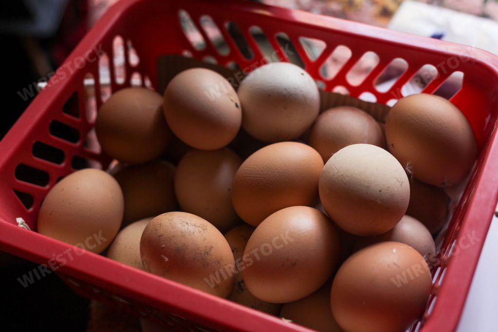 basket of eggs high res image