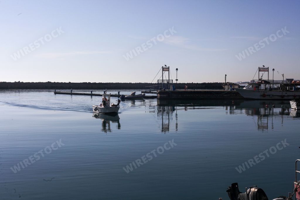 Fishermen sell their produce at the fresh fish market at the harbour