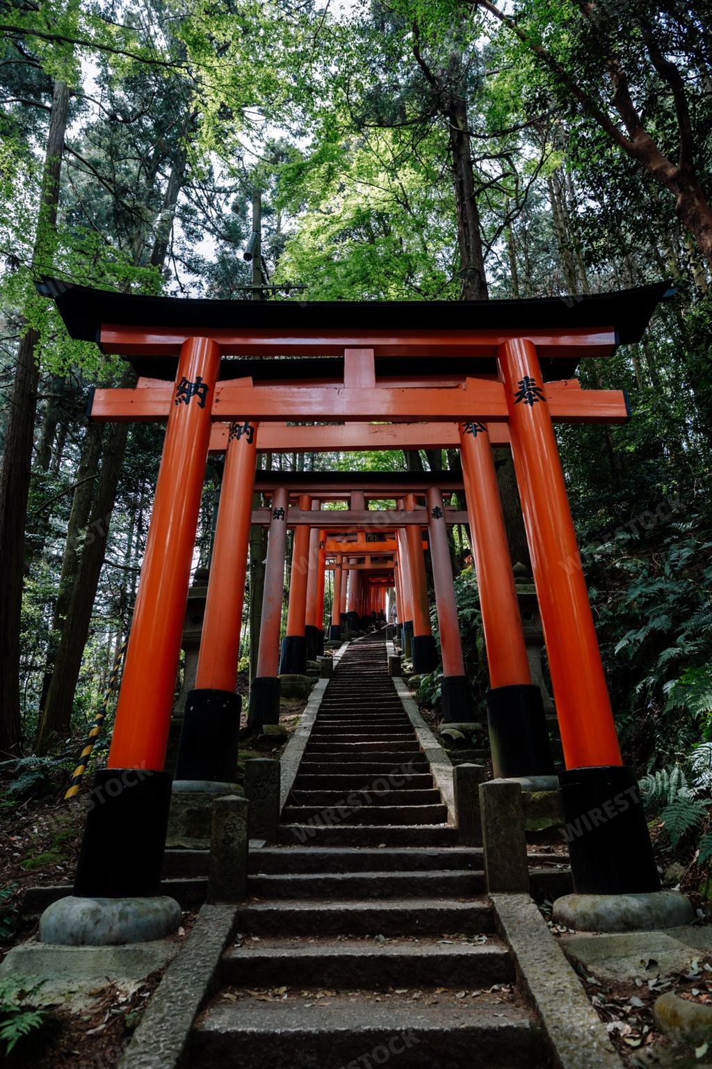 A vertical shot of famous torii gates in Fushimi Inari Shrine, Kyoto, Japan