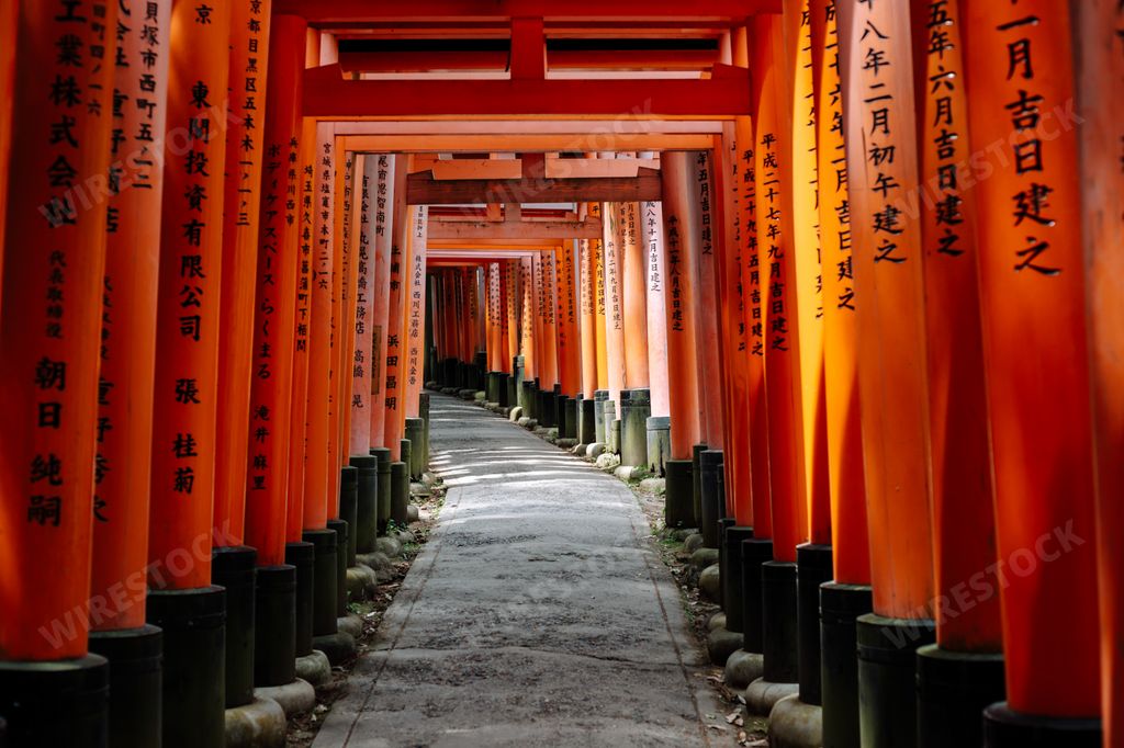 A mesmerizing shot of famous torii gates in Fushimi Inari Shrine, Kyoto, Japan