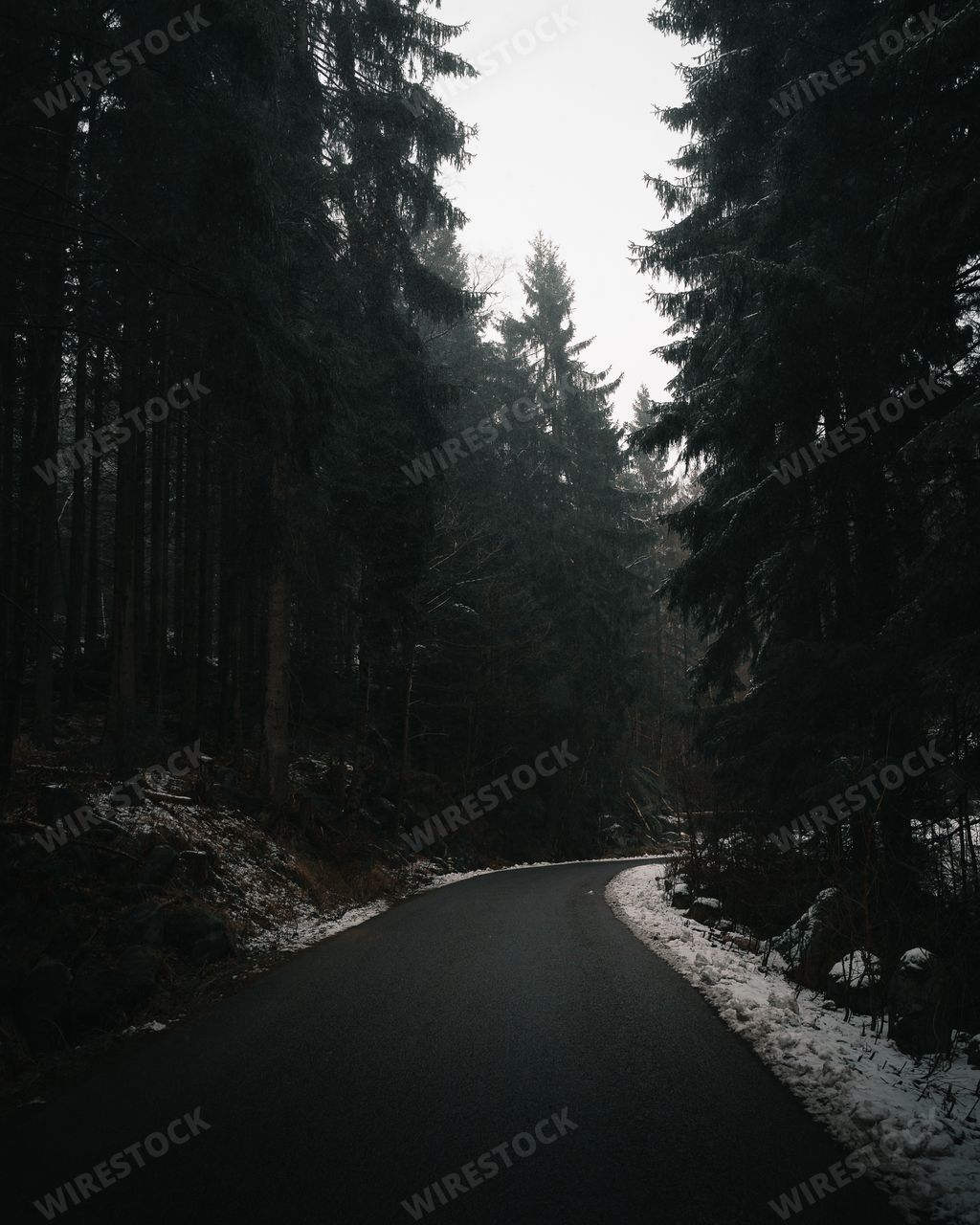 A vertical shot of an empty road surrounded by a forest during winter