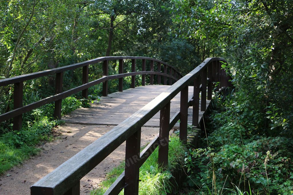 A beautiful view of a wooden bridge that goes through the trees in the forest