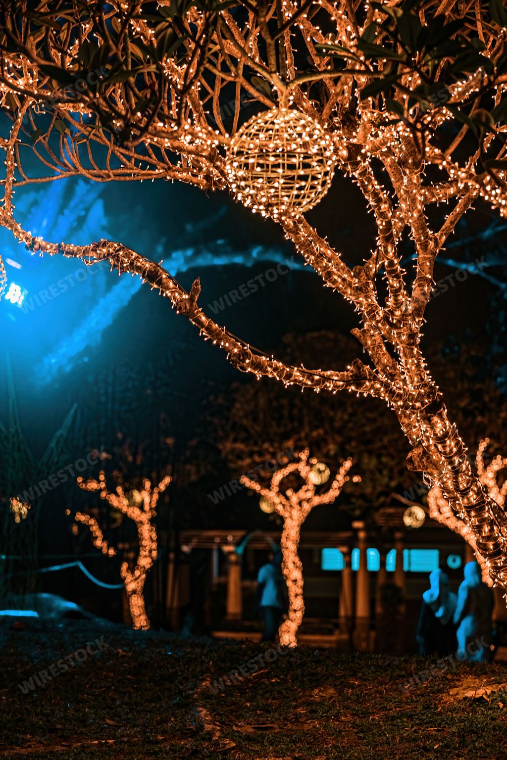 A vertical shot of a tree decorated with illuminated Christmas lights during nighttime