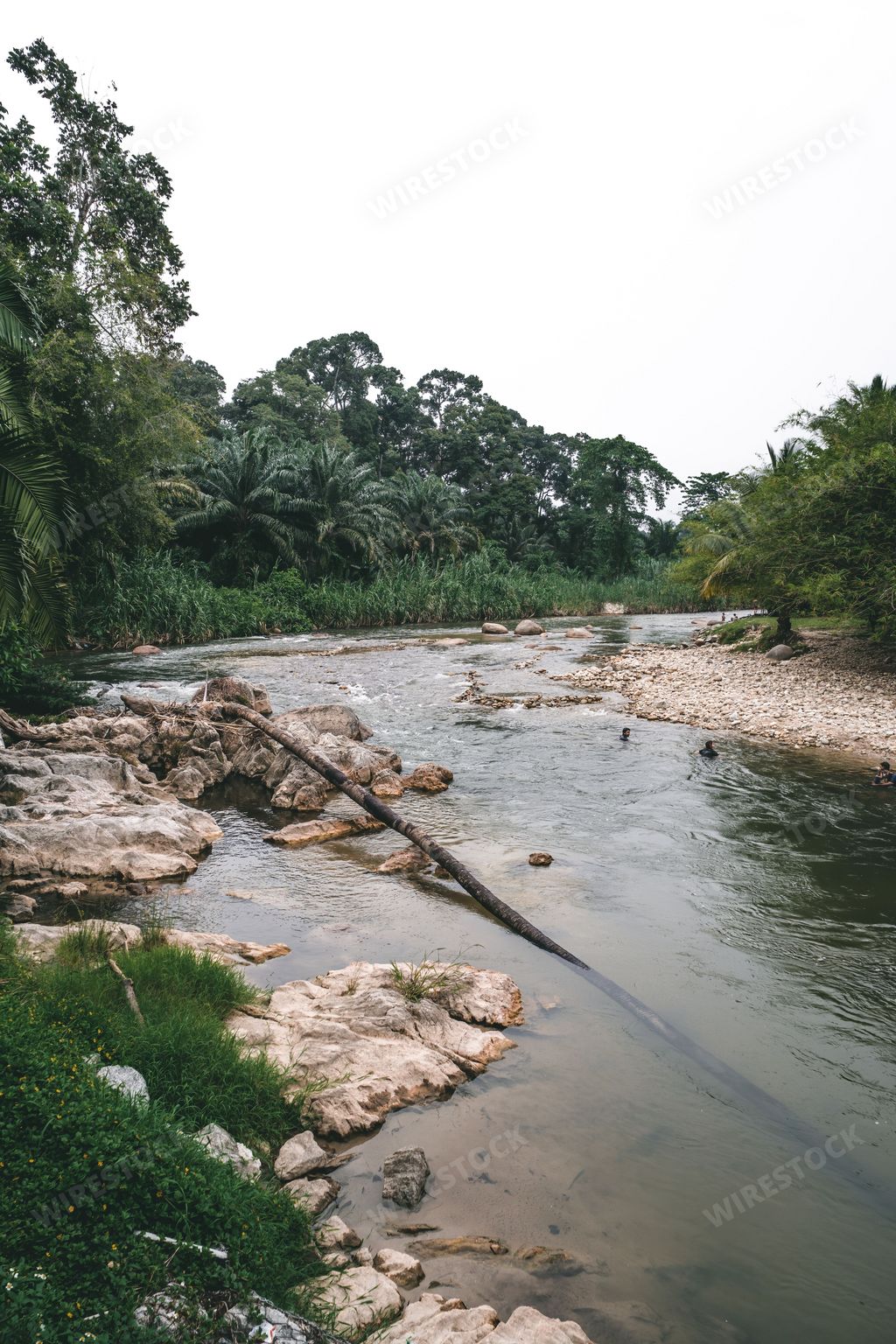 Upstream river flowing at Sungai Kampar, Gopeng, Perak.