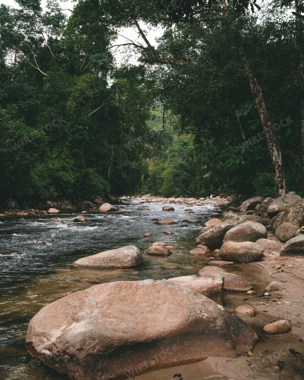 Beautiful Flowing River with beautiful trees in the background at Sungai Kampar, Gopeng, Perak.