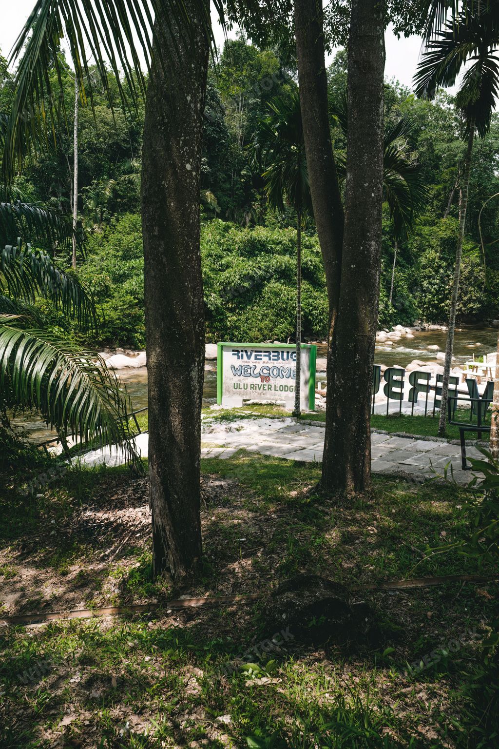 Perak, Malaysia - Aug 12, 2022 Riverbug signage, the jungle resort in Gopeng.