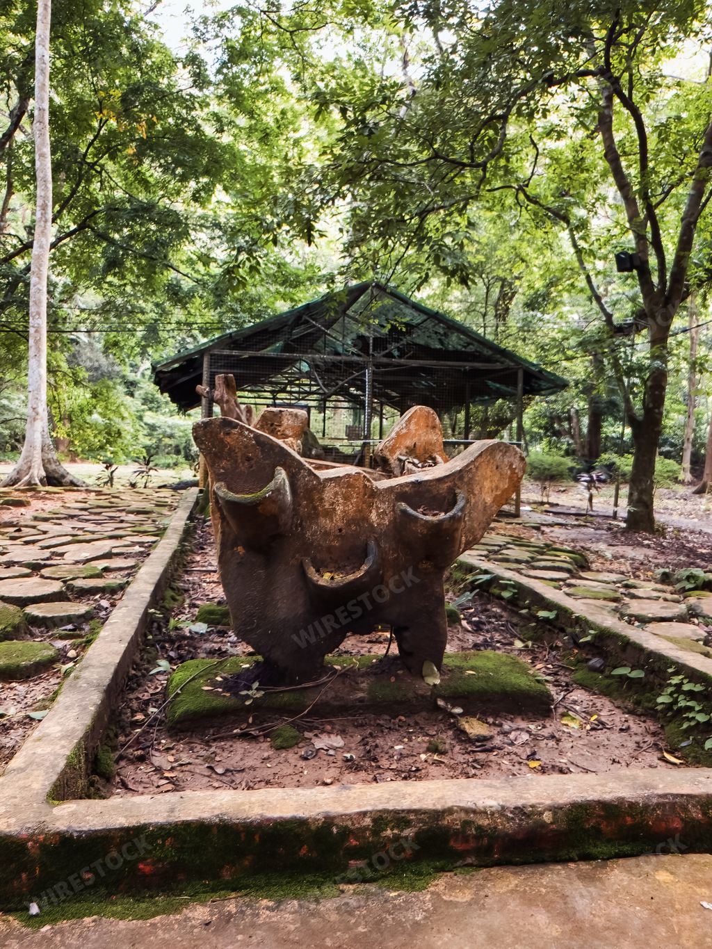 Tree stump carved into art near the rainforest cave in Perlis, Malaysia.