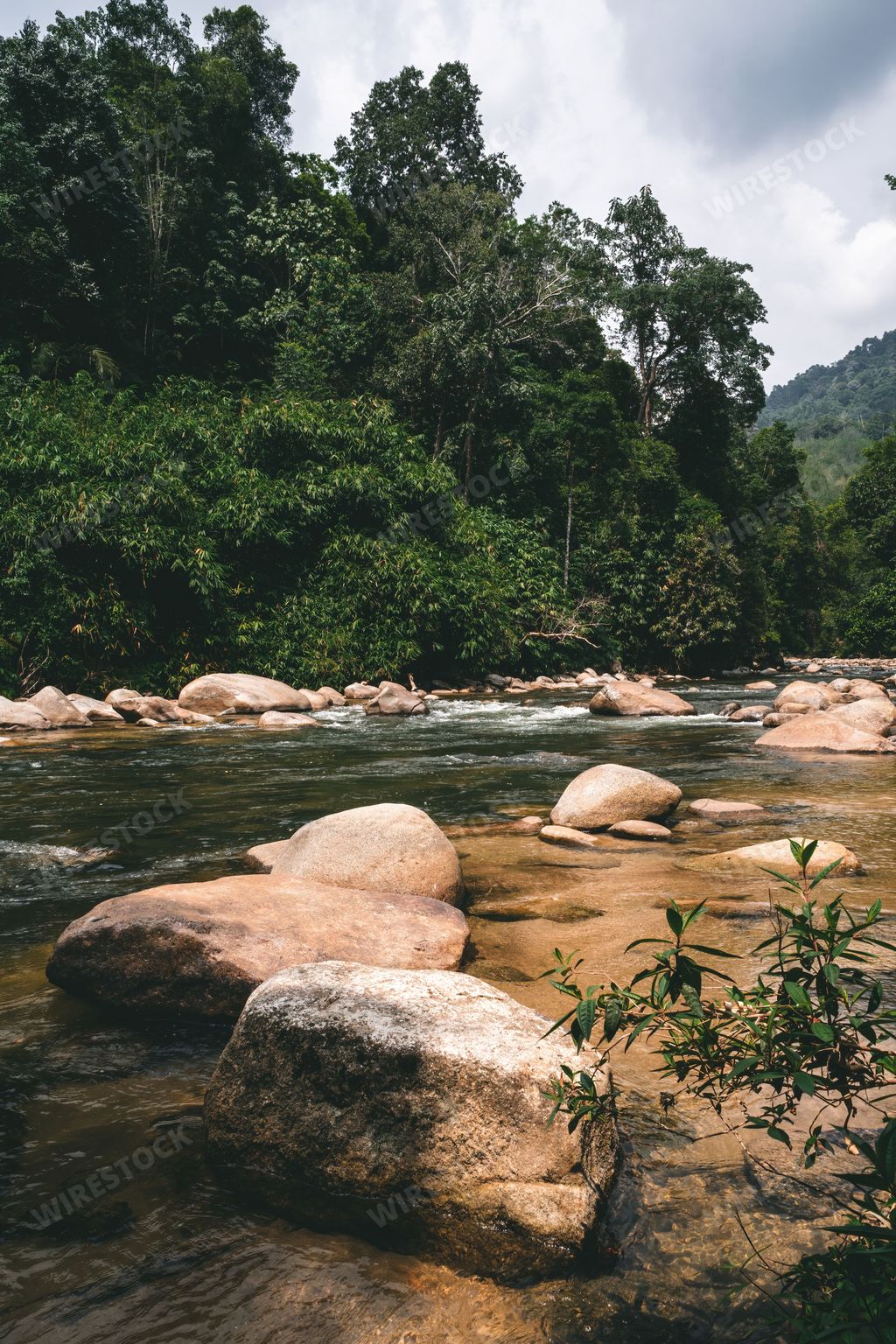 Beautiful flowing River with beautiful trees in the background at Sungai Kampar, Gopeng, Perak.