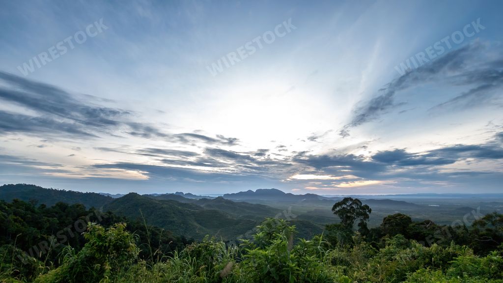 An aerial view of a tropical rainforest in Lenggong, Perak with lush green trees
