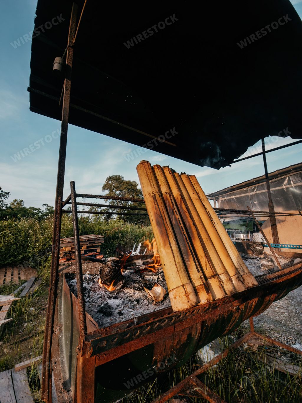 The making of Lemang, Malaysian traditional food of sticky rice cooked in bamboo and banana leaves.