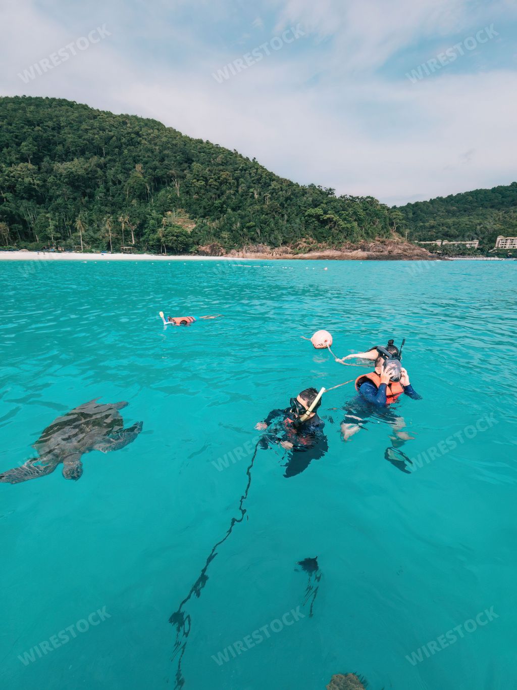 Group of tourists are snorkeling together with the turtles in Pulau Redang.