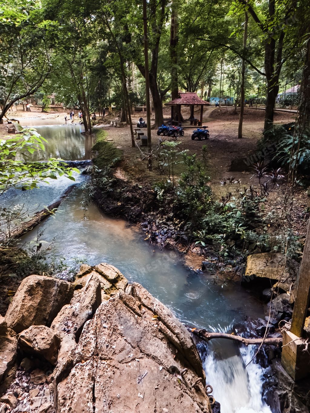 Small stream flowing through the rainforest garden in Perlis, Malaysia.