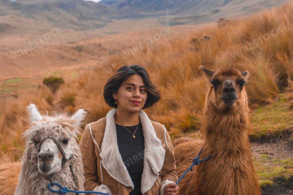 A young female with cute lamas in the mountains