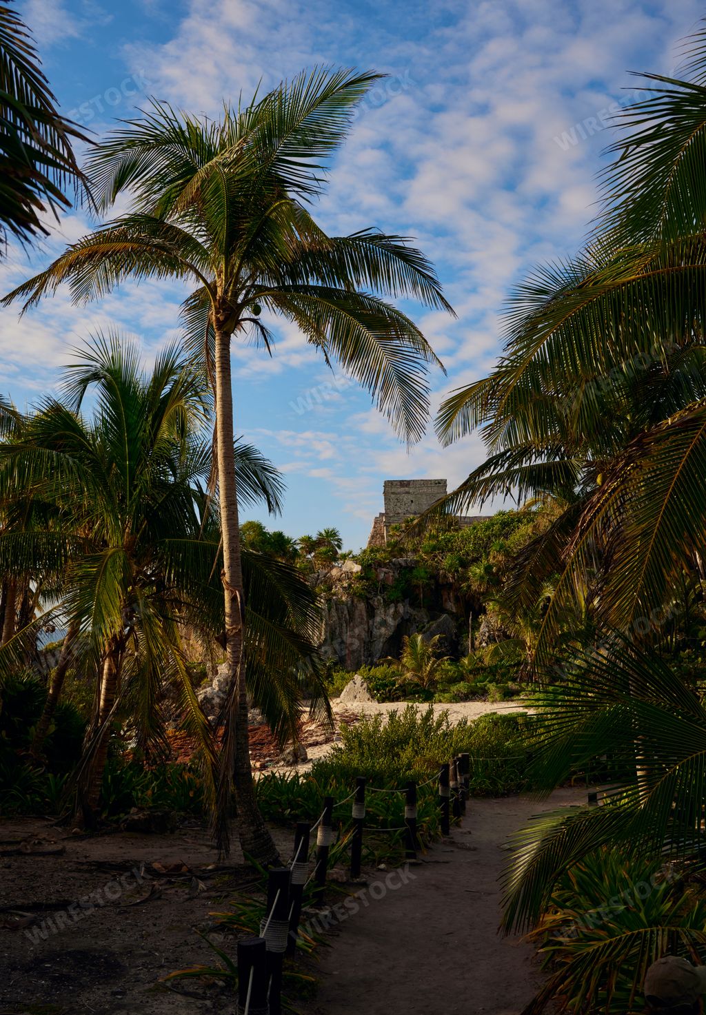 A vertical shot of the Tulum ruins surrounded by vegetation
