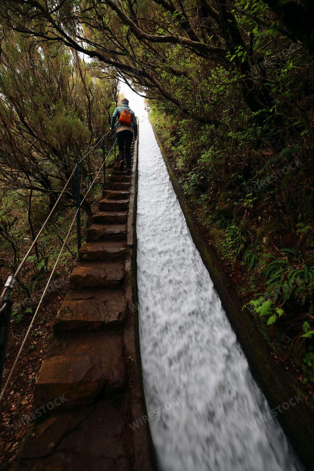 A scenic view of Levado do Risco hiking in Madeira, Portugal
