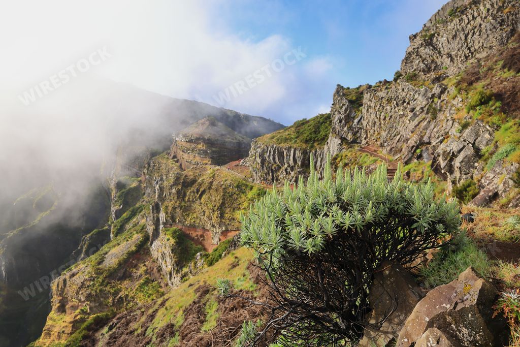 A scenic view of a mountainous landscape with mist and clear blue sky, featuring lush greenery and rocky terrain.