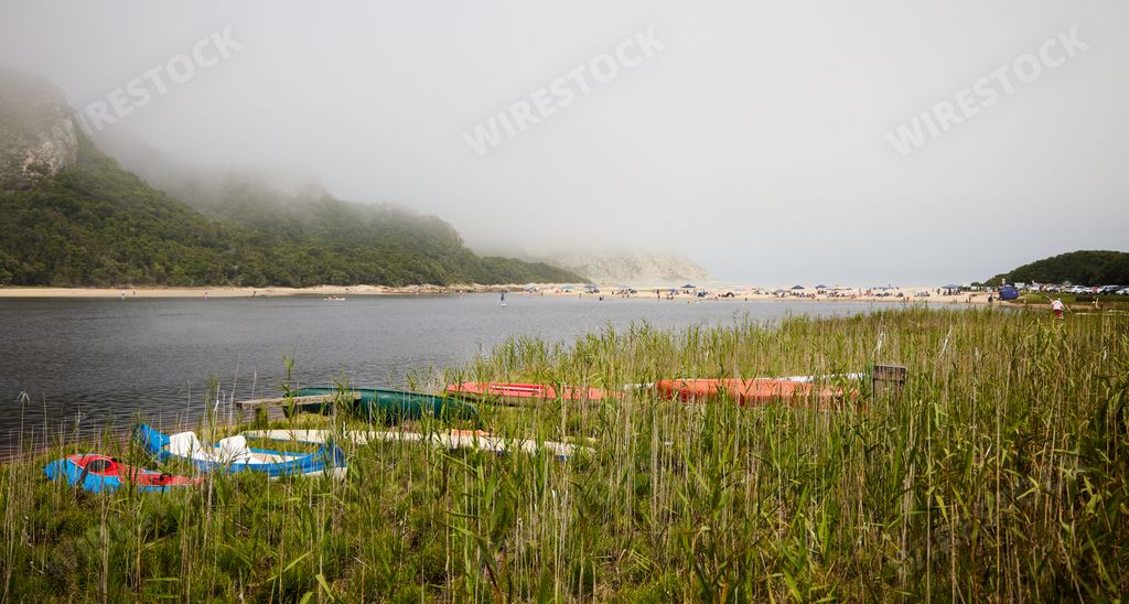 A scenic view of kayaks on a green beach of a sea in Tsitsikamma, South Africa