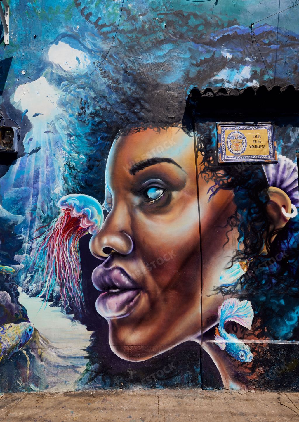 The Local street art with a mermaid's face and tropical fishes in the City of Cartagena, Colombia