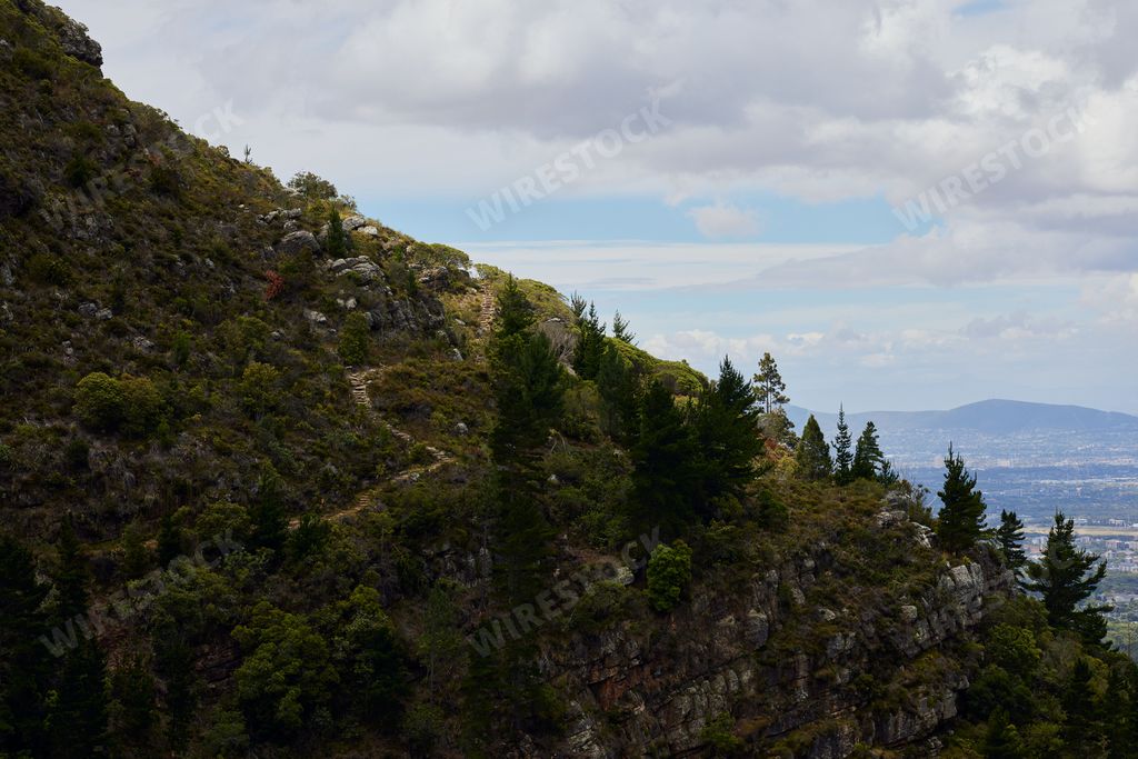 A part of the Table Mountain with trees in Cape town, South Africa