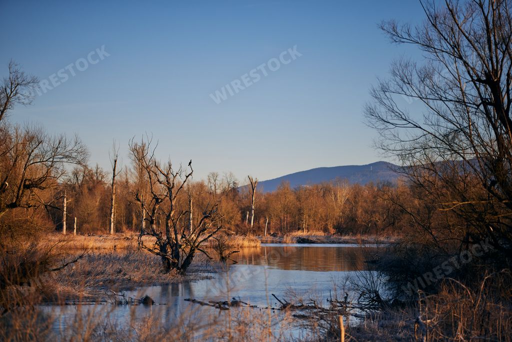 Scenic mountain landscape with water body, river, and lush green grass