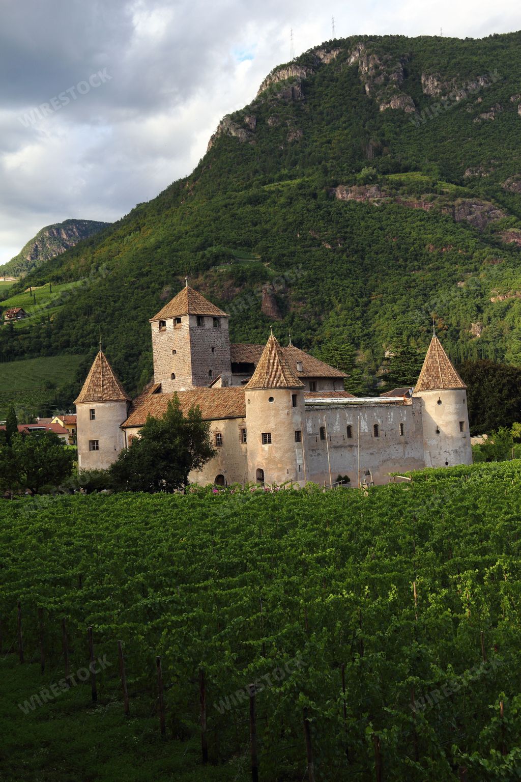 A picture of Mareccio Castle next to a mountain surrounded by vineyards in Bolzano, Italy