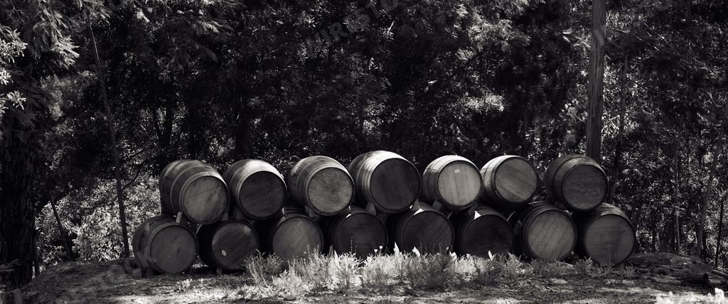A grayscale of wine barrel stacked in a garden in Knysna, South Africa