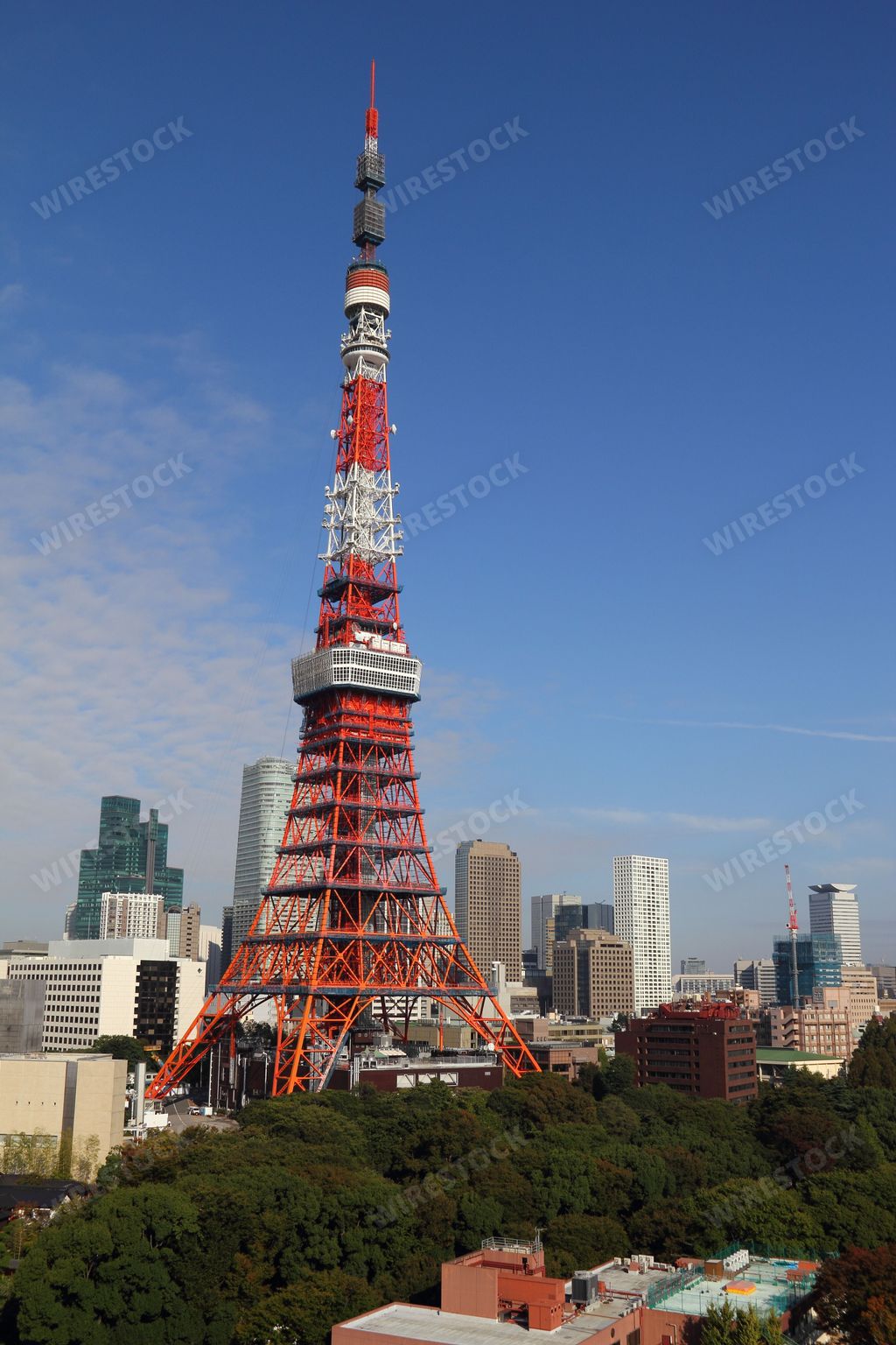 The beautiful aerial view of Tokyo skyline in summer. Japan.
