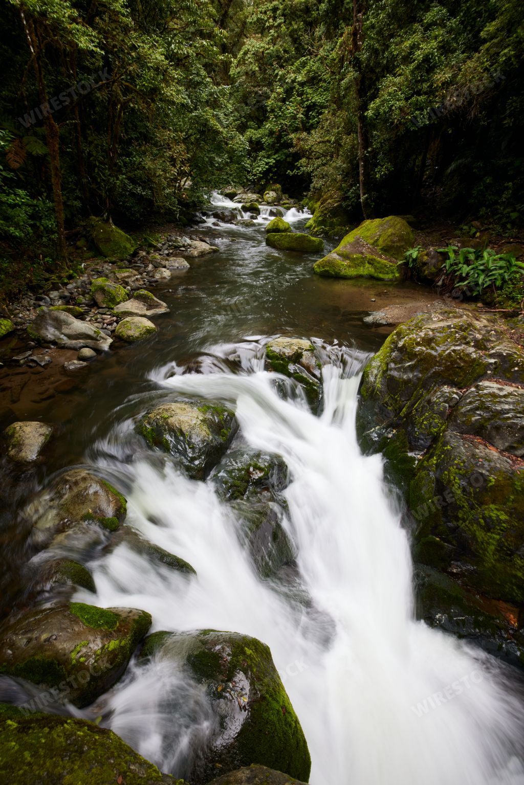 A vertical, long exposure shot of a river flowing through the forest