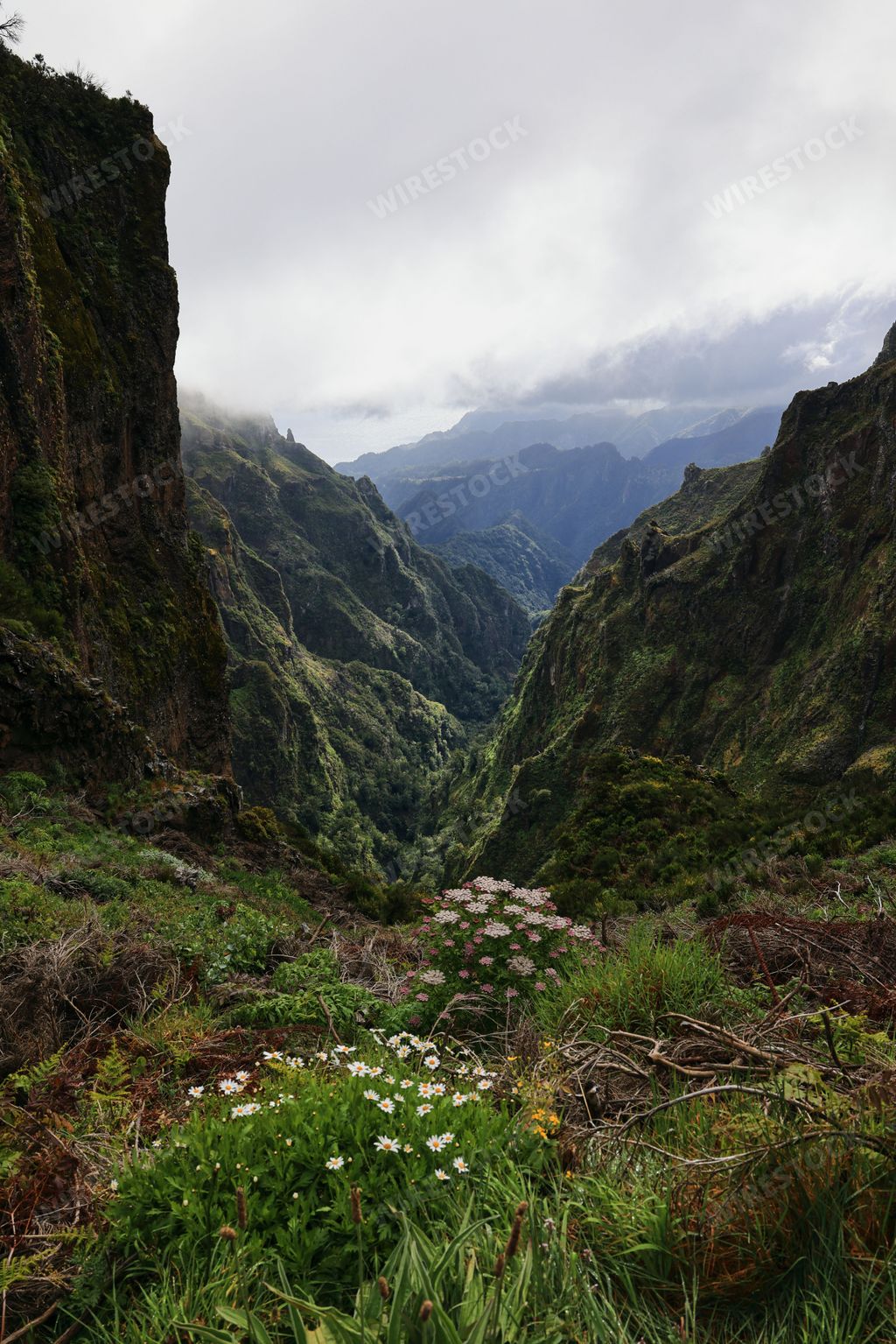 A breathtaking view of a lush green valley surrounded by towering mountains under a cloudy sky