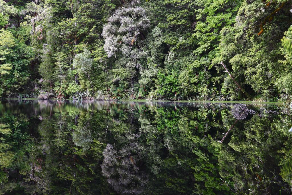 The Oparara Basin at Karamea in the South Island of New Zealan